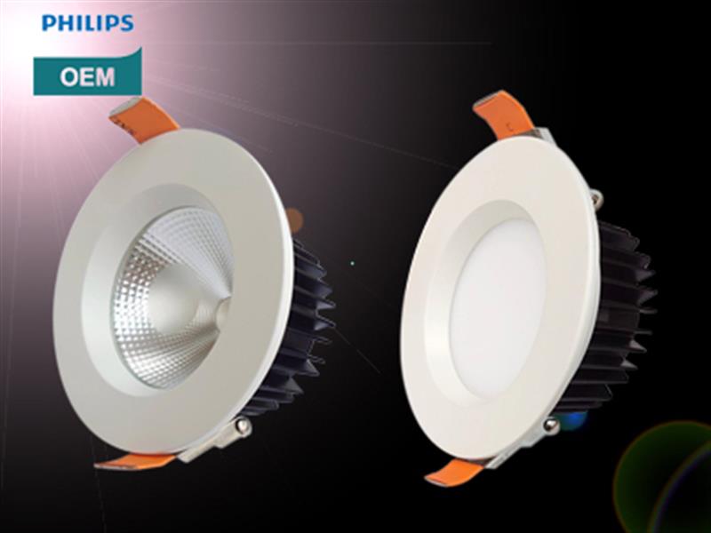 ĐÈN LED ÂM TRẦN MẶT KÍNH, MECA MỜ 30W TAL/PHILIPS OEM. MODEL: TAL DN02