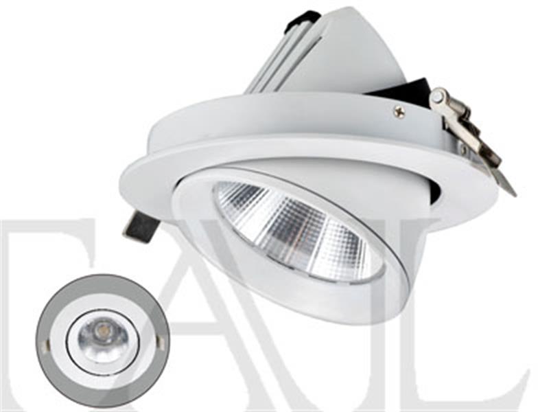 Đèn LED Downlight chiếu rọi: TDC**04SB