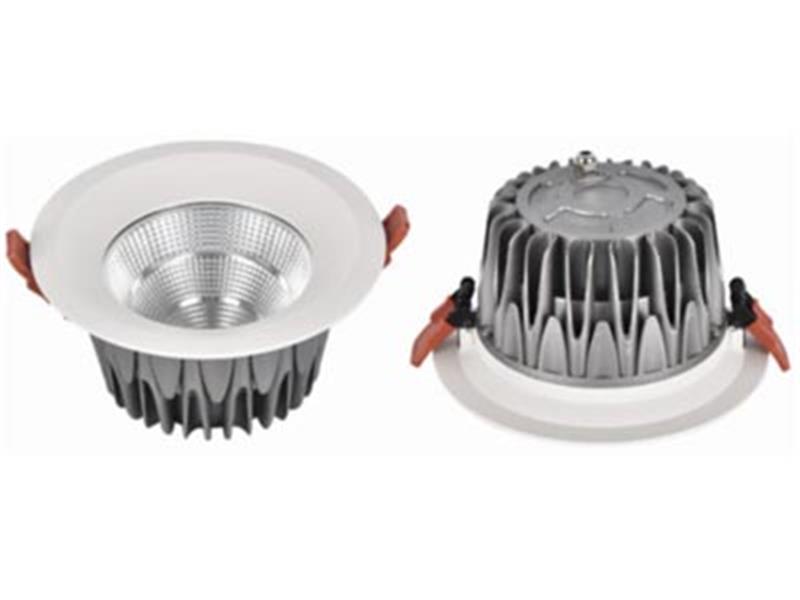 Đèn LED DOWNLIGHT PHILIP OEM IP65: CSV-DLIP2