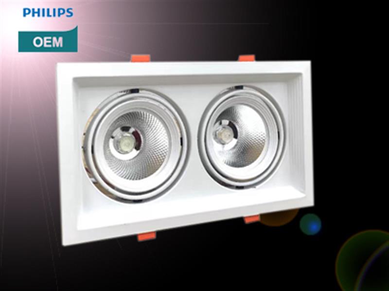 ĐÈN LED ÂM TRẦN DLV3 MÀU ĐEN, TRẮNG 2 BÓNG 2*10W TAL/PHILIPS OEM. MODEL: TAL ML3