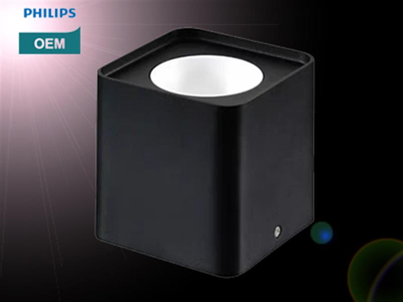 ĐÈN LED LẮP NỔI 1 BÓNG DLV5 TAL/PHILIPS OEM 1*10W. MODEL: TAL MLM5-1