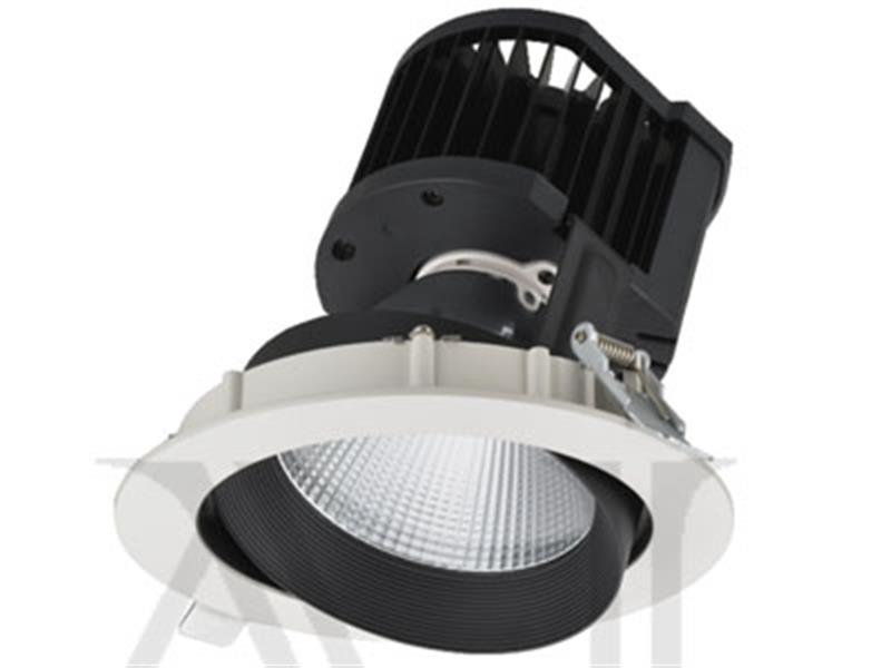 Đèn LED Downlight chiếu rọi: TDC**05SB