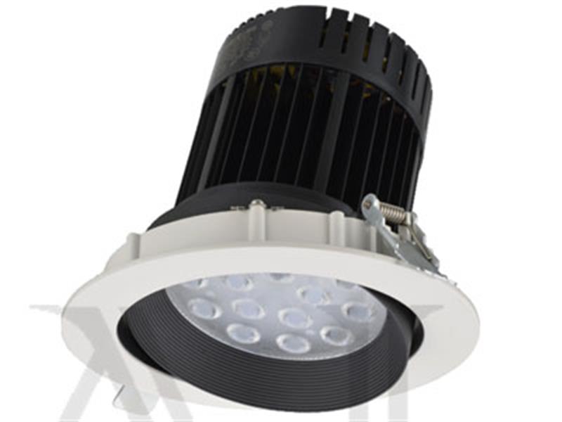 Đèn LED Downlight chiếu rọi: TD3003SB