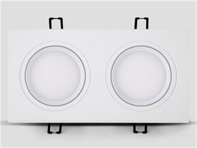 Đèn LED DOWNLIGHT ĐƠN - ĐÔI - BA PHILIP OEM : CSV-DLV2