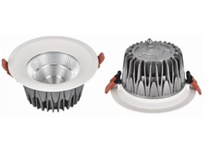 Đèn LED DOWNLIGHT PHILIP OEM IP65: CSV-DLIP2