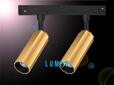 ĐÈN LED RAY NAM CHÂM LUMOS 5W*2-12W*2: LSR-20T810