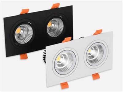 Đèn LED DOWNLIGHT ĐƠN - ĐÔI - BA PHILIP OEM : CSV-DLV1