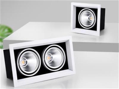 Đèn LED DOWNLIGHT ĐƠN - ĐÔI - BA PHILIP OEM : CSV-DLV5