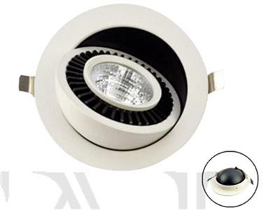 Đèn LED Downlight chiếu rọi: TDB0**