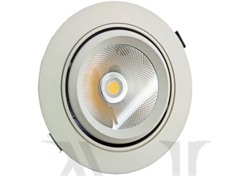 Đèn LED Downlight chiếu rọi: TDC**02SB